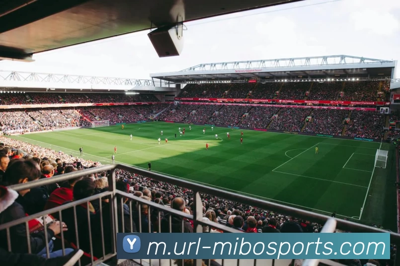 米博体育平台生态图